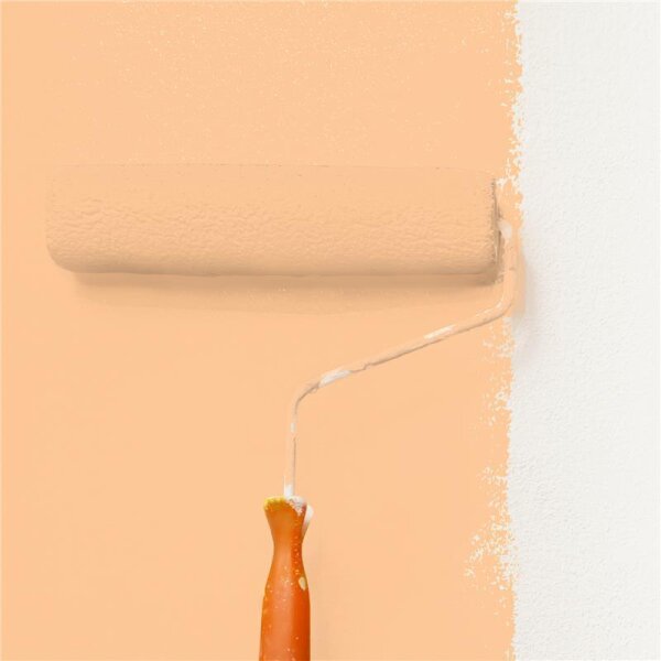 Wandfarbe Matt NCS-S-0530-Y40R WALLCOVER Colors