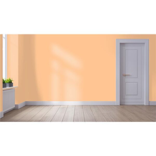 Wandfarbe Matt NCS-S-0530-Y40R WALLCOVER Colors