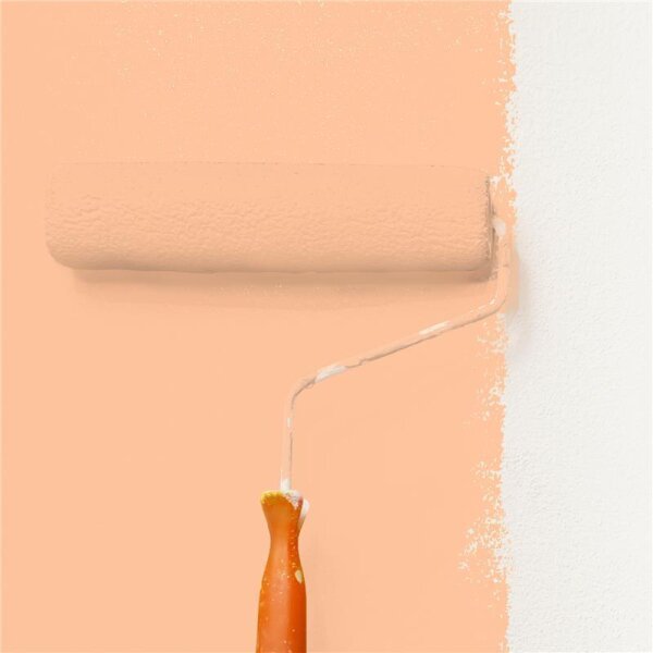 Wandfarbe Matt NCS-S-0530-Y50R WALLCOVER Colors