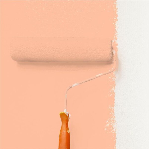 Wandfarbe Matt NCS-S-0530-Y60R WALLCOVER Colors