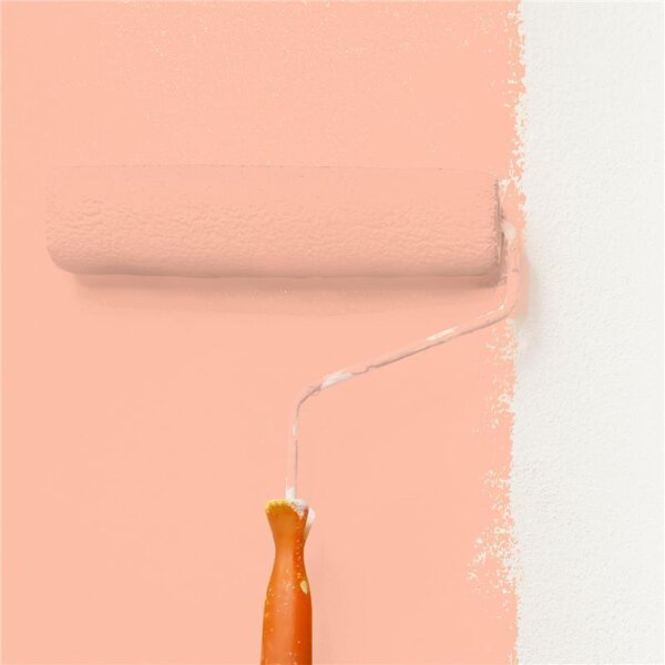 Wandfarbe Matt NCS-S-0530-Y70R WALLCOVER Colors