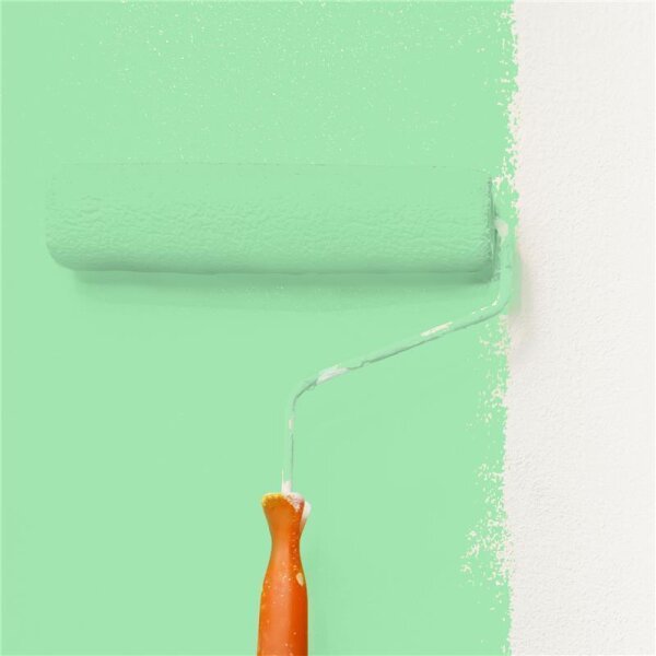 Wandfarbe Matt NCS-S-0540-G10Y WALLCOVER Colors