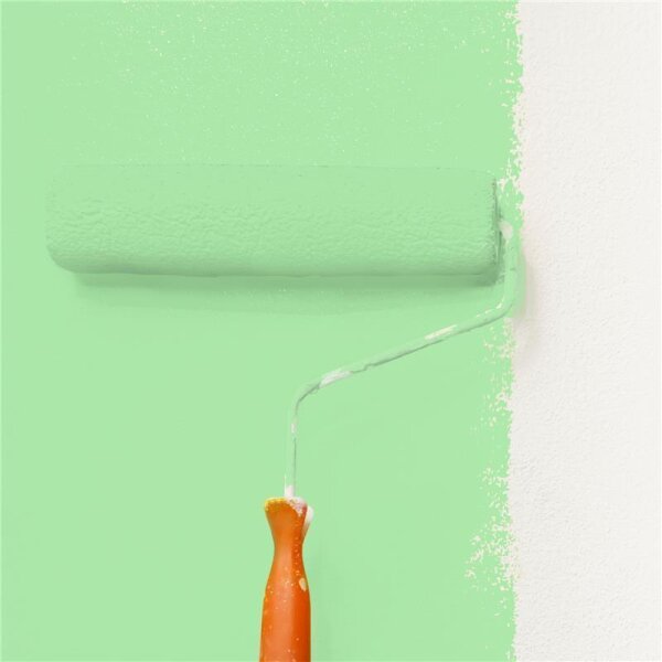 Wandfarbe Matt NCS-S-0540-G20Y WALLCOVER Colors