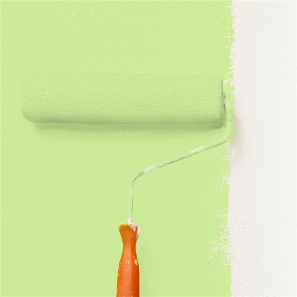 Wandfarbe Matt NCS-S-0540-G40Y WALLCOVER Colors