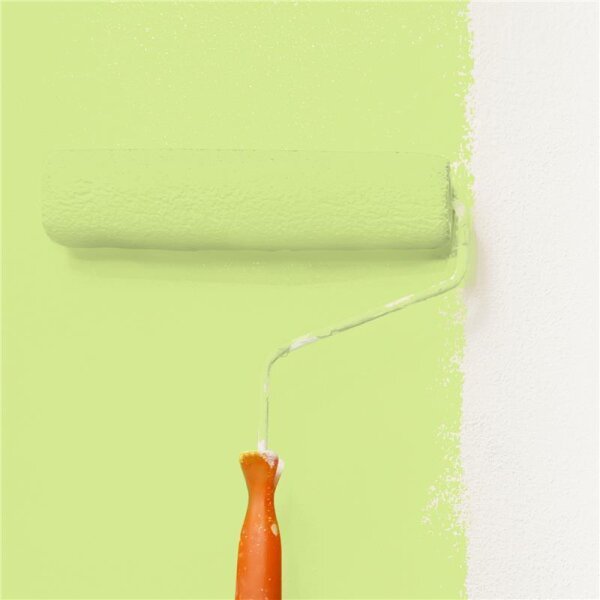 Wandfarbe Matt NCS-S-0540-G50Y WALLCOVER Colors