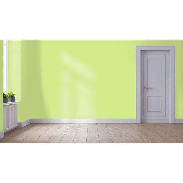 Wandfarbe Matt NCS-S-0540-G50Y WALLCOVER Colors