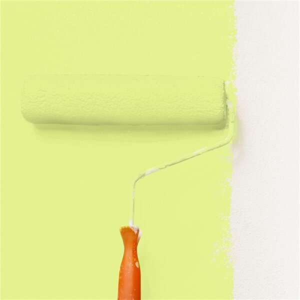 Wandfarbe Matt NCS-S-0540-G60Y WALLCOVER Colors