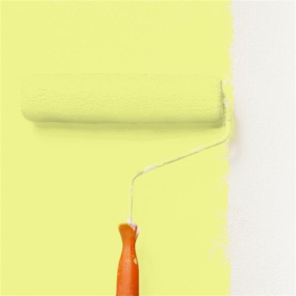 Wandfarbe Matt NCS-S-0540-G70Y WALLCOVER Colors