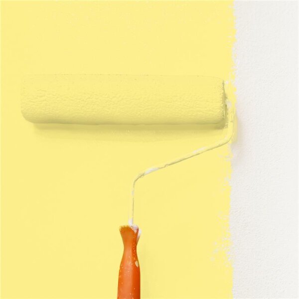 Wandfarbe Matt NCS-S-0540-G90Y WALLCOVER Colors