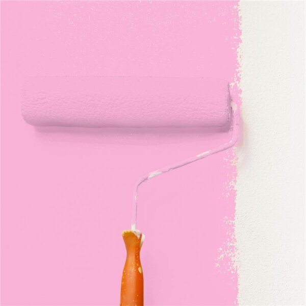 Wandfarbe Matt NCS-S-0540-R30B WALLCOVER Colors