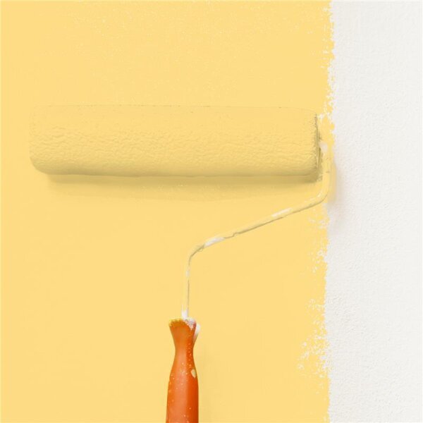 Wandfarbe Matt NCS-S-0540-Y10R WALLCOVER Colors