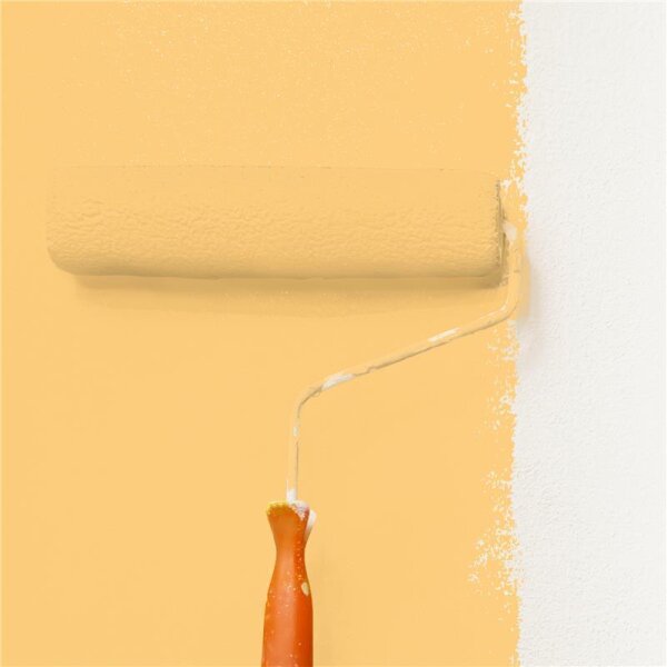 Wandfarbe Matt NCS-S-0540-Y20R WALLCOVER Colors