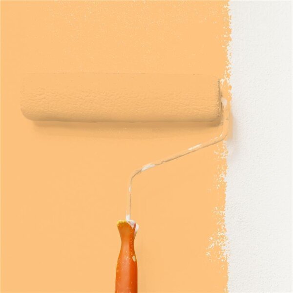 Wandfarbe Matt NCS-S-0540-Y30R WALLCOVER Colors