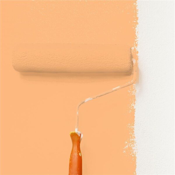 Wandfarbe Matt NCS-S-0540-Y40R WALLCOVER Colors
