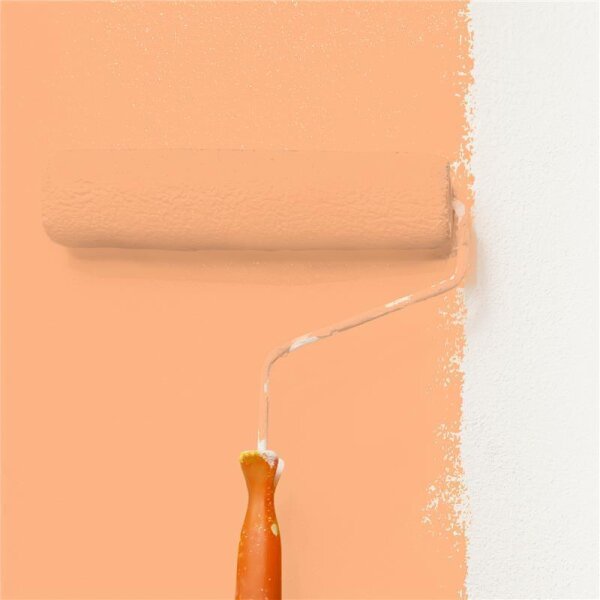 Wandfarbe Matt NCS-S-0540-Y50R WALLCOVER Colors