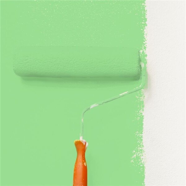 Wandfarbe Matt NCS-S-0550-G20Y WALLCOVER Colors