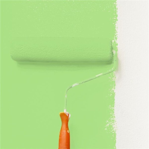 Wandfarbe Matt NCS-S-0550-G30Y WALLCOVER Colors