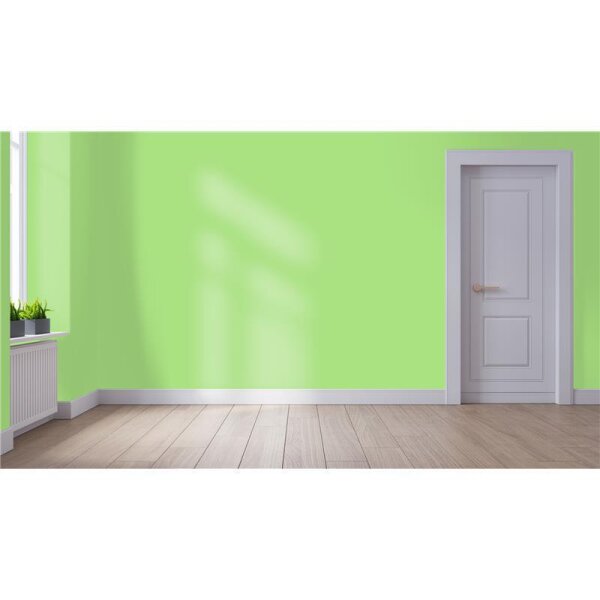 Wandfarbe Matt NCS-S-0550-G30Y WALLCOVER Colors