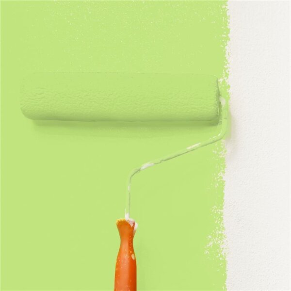 Wandfarbe Matt NCS-S-0550-G40Y WALLCOVER Colors