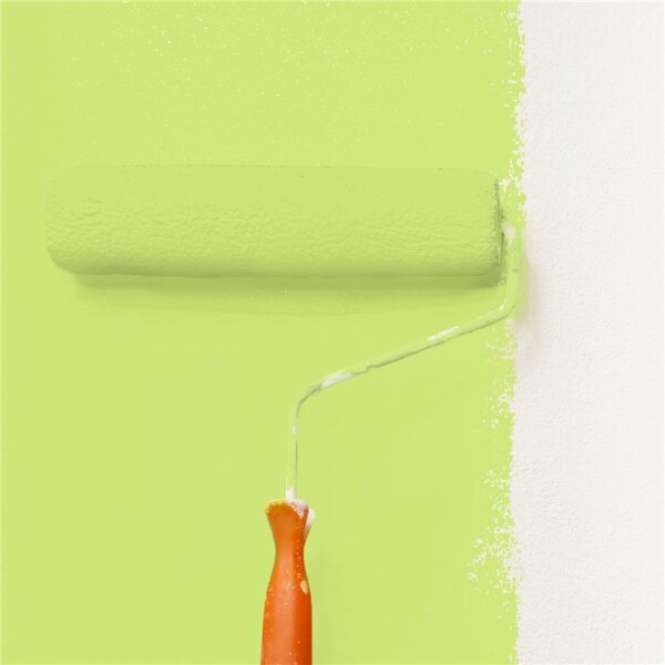 Wandfarbe Matt NCS-S-0550-G50Y WALLCOVER Colors