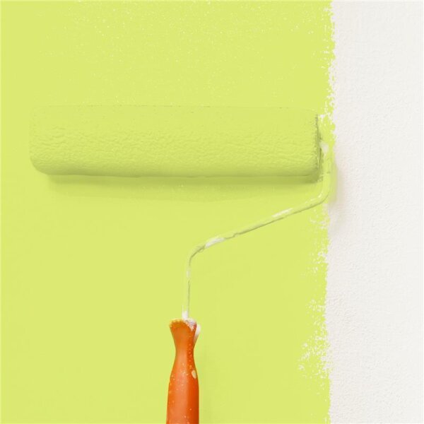 Wandfarbe Matt NCS-S-0550-G60Y WALLCOVER Colors