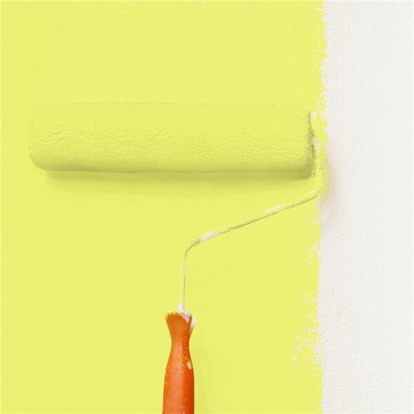 Wandfarbe Matt NCS-S-0550-G70Y WALLCOVER Colors