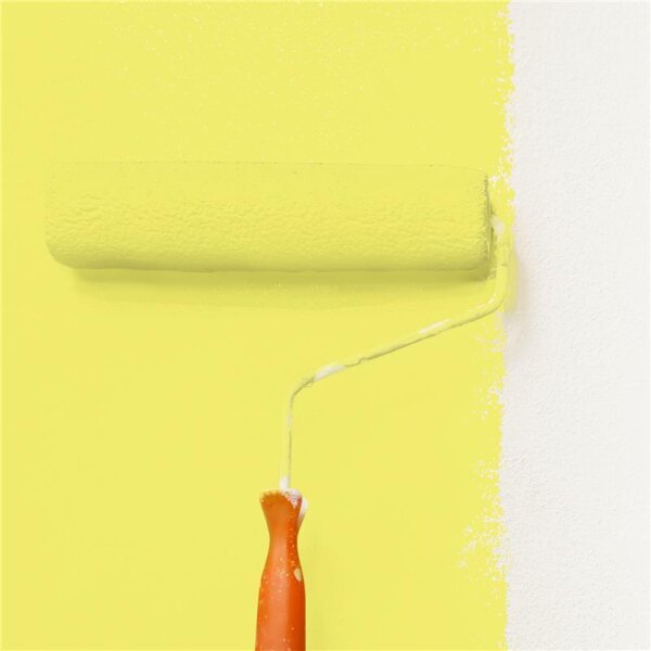 Wandfarbe Matt NCS-S-0550-G80Y WALLCOVER Colors