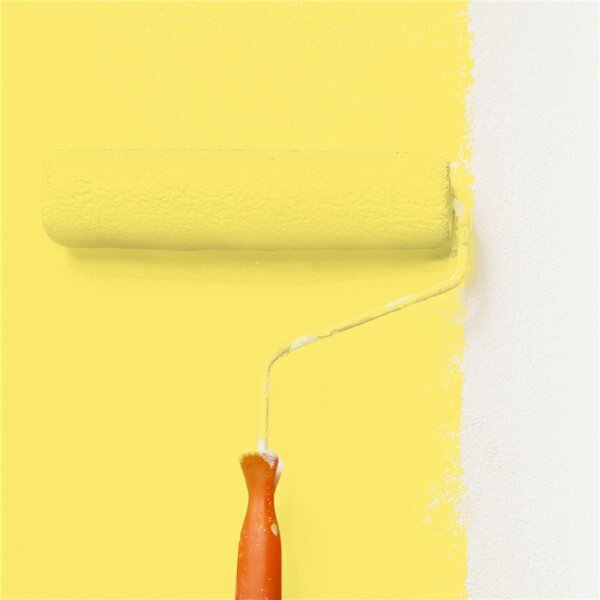 Wandfarbe Matt NCS-S-0550-G90Y WALLCOVER Colors