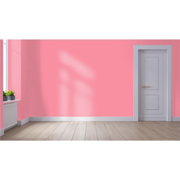 Wandfarbe Matt NCS-S-0550-R10B WALLCOVER Colors