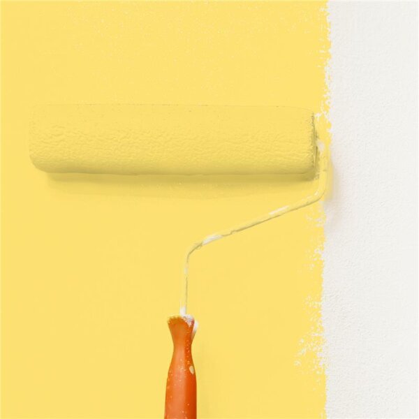 Wandfarbe Matt NCS-S-0550-Y WALLCOVER Colors