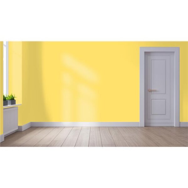 Wandfarbe Matt NCS-S-0550-Y WALLCOVER Colors