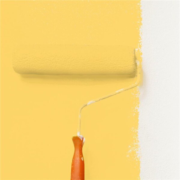 Wandfarbe Matt NCS-S-0550-Y10R WALLCOVER Colors