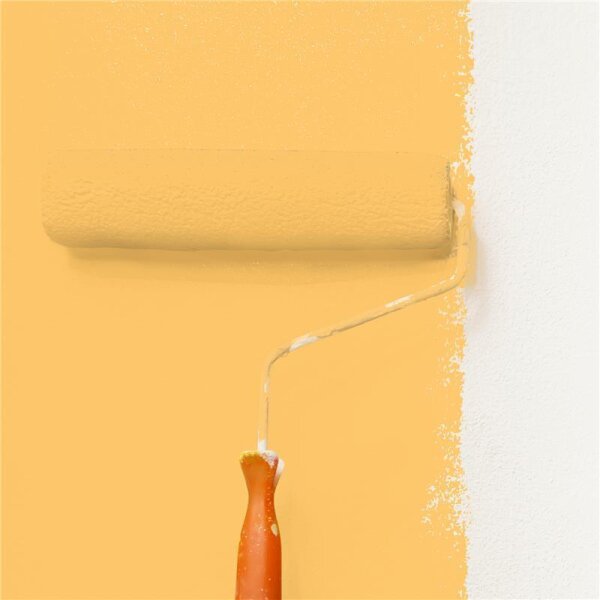 Wandfarbe Matt NCS-S-0550-Y20R WALLCOVER Colors