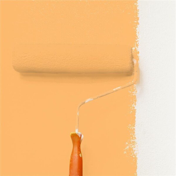 Wandfarbe Matt NCS-S-0550-Y30R WALLCOVER Colors