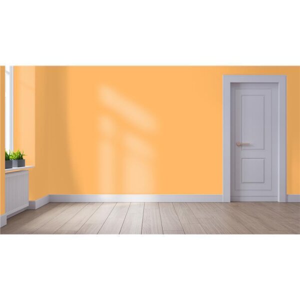 Wandfarbe Matt NCS-S-0550-Y30R WALLCOVER Colors