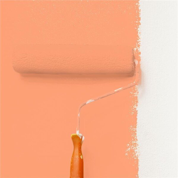 Wandfarbe Matt NCS-S-0550-Y60R WALLCOVER Colors