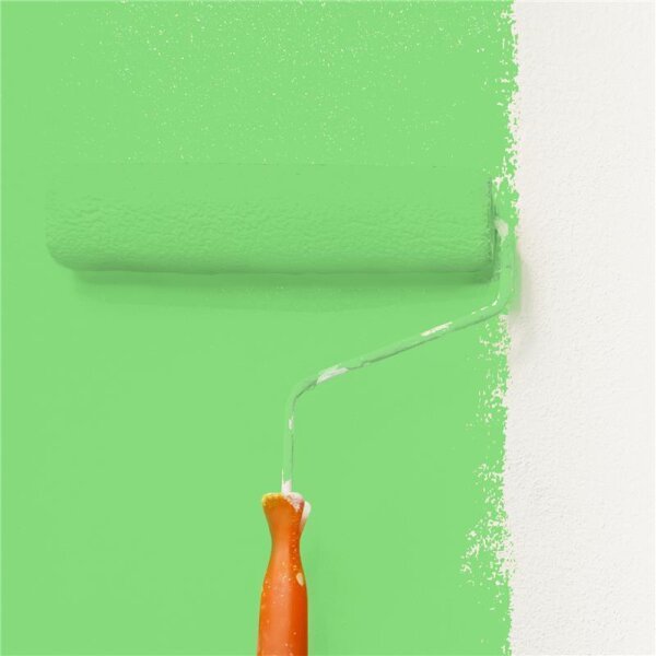 Wandfarbe Matt NCS-S-0560-G20Y WALLCOVER Colors