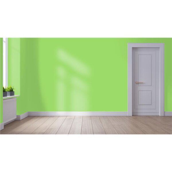 Wandfarbe Matt NCS-S-0560-G30Y WALLCOVER Colors