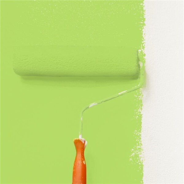 Wandfarbe Matt NCS-S-0560-G40Y WALLCOVER Colors