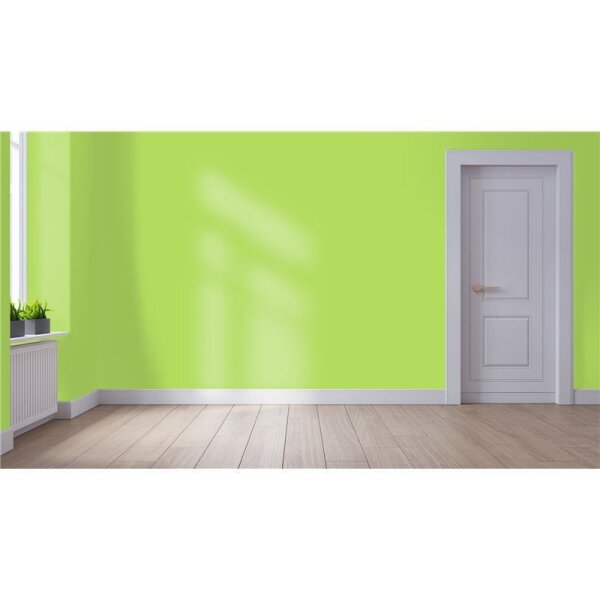 Wandfarbe Matt NCS-S-0560-G40Y WALLCOVER Colors