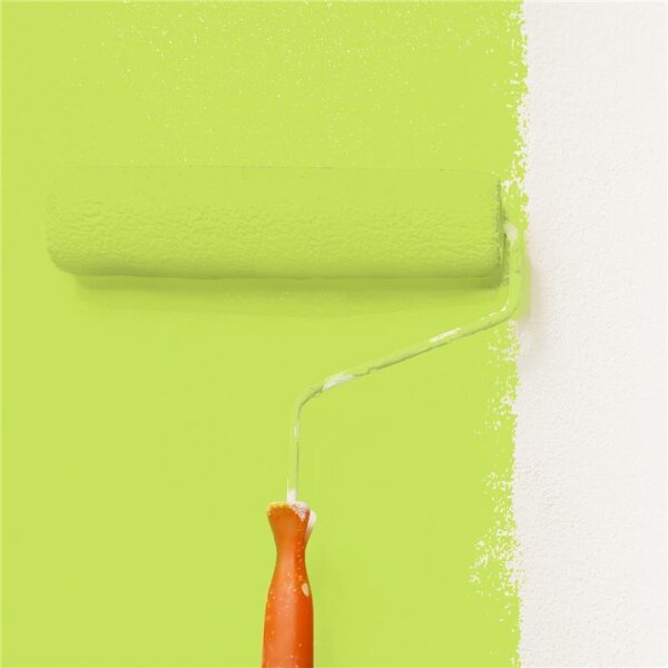 Wandfarbe Matt NCS-S-0560-G50Y WALLCOVER Colors