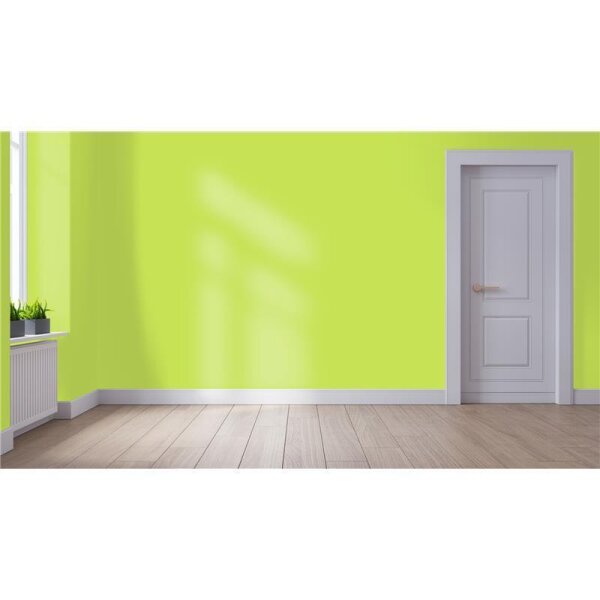 Wandfarbe Matt NCS-S-0560-G50Y WALLCOVER Colors