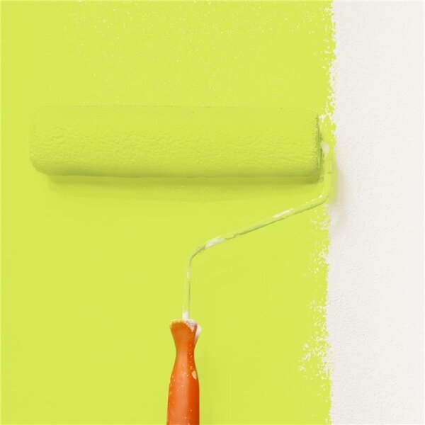 Wandfarbe Matt NCS-S-0560-G60Y WALLCOVER Colors