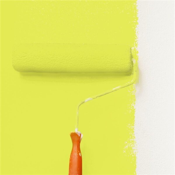 Wandfarbe Matt NCS-S-0560-G70Y WALLCOVER Colors