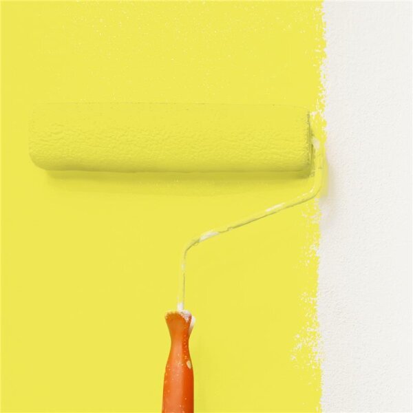 Wandfarbe Matt NCS-S-0560-G80Y WALLCOVER Colors