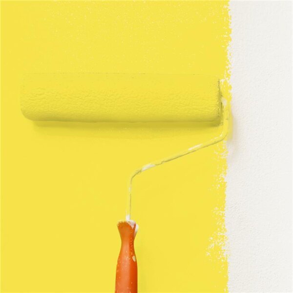 Wandfarbe Matt NCS-S-0560-G90Y WALLCOVER Colors