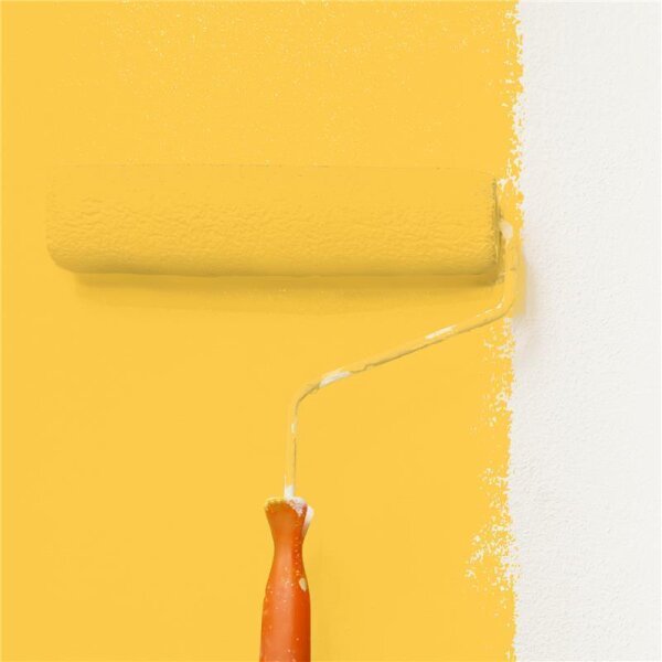Wandfarbe Matt NCS-S-0560-Y10R WALLCOVER Colors