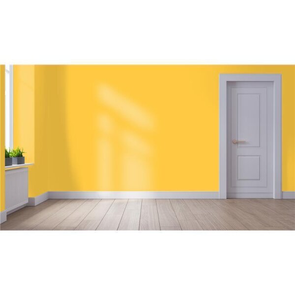 Wandfarbe Matt NCS-S-0560-Y10R WALLCOVER Colors