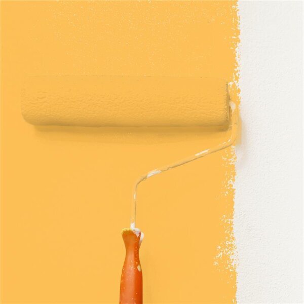 Wandfarbe Matt NCS-S-0560-Y20R WALLCOVER Colors
