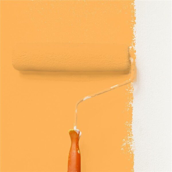 Wandfarbe Matt NCS-S-0560-Y30R WALLCOVER Colors